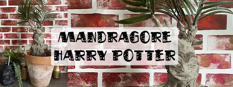 Comment faire la mandragore Harry Potter : tuto facile