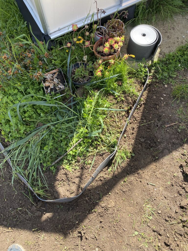 Créer des allées dans son potager 7 IMG 1710