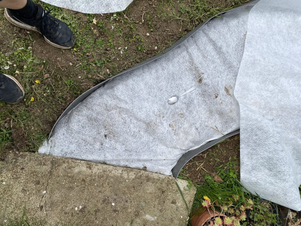 Créer des allées dans son potager 9 IMG 1732