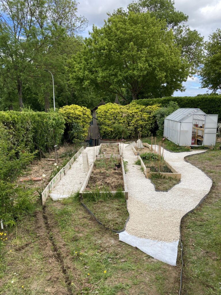 Créer des allées dans son potager 4 IMG 1733