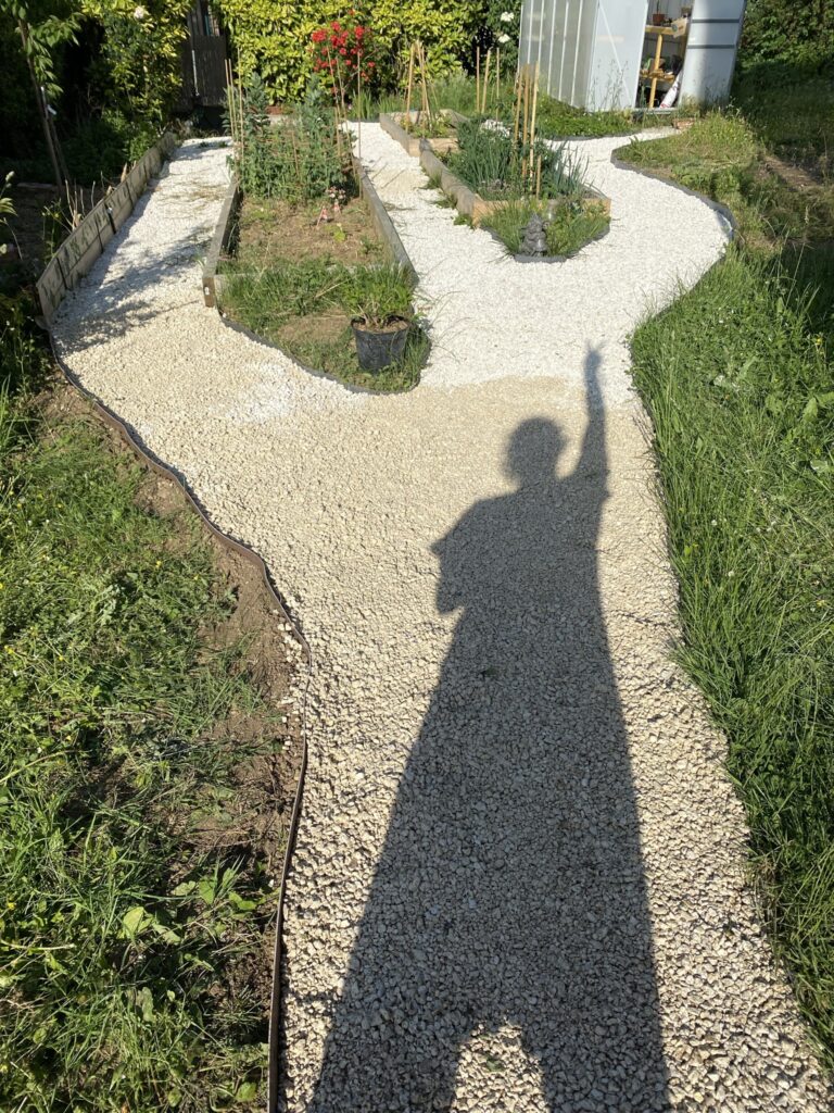 Créer des allées dans son potager 10 IMG 2734