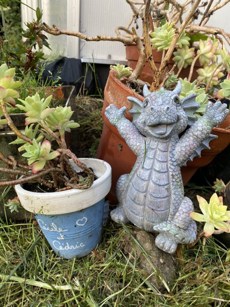 dragon de jardin