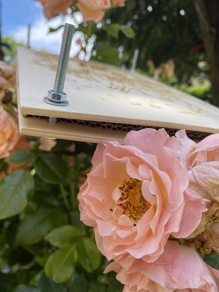 Personnalisation d'herbier pour la fête des pères 4 IMG 2856