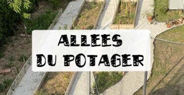 allées en gravier dans le potager