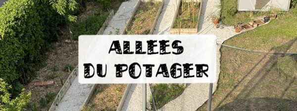 allées en gravier dans le potager