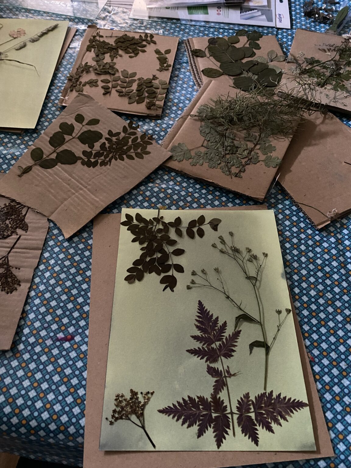 Kit Papier Cyanotype (24 Feuilles A5 + 1 Plaque Acrylique) - Impression Solaire, Loisirs Créatifs DIY