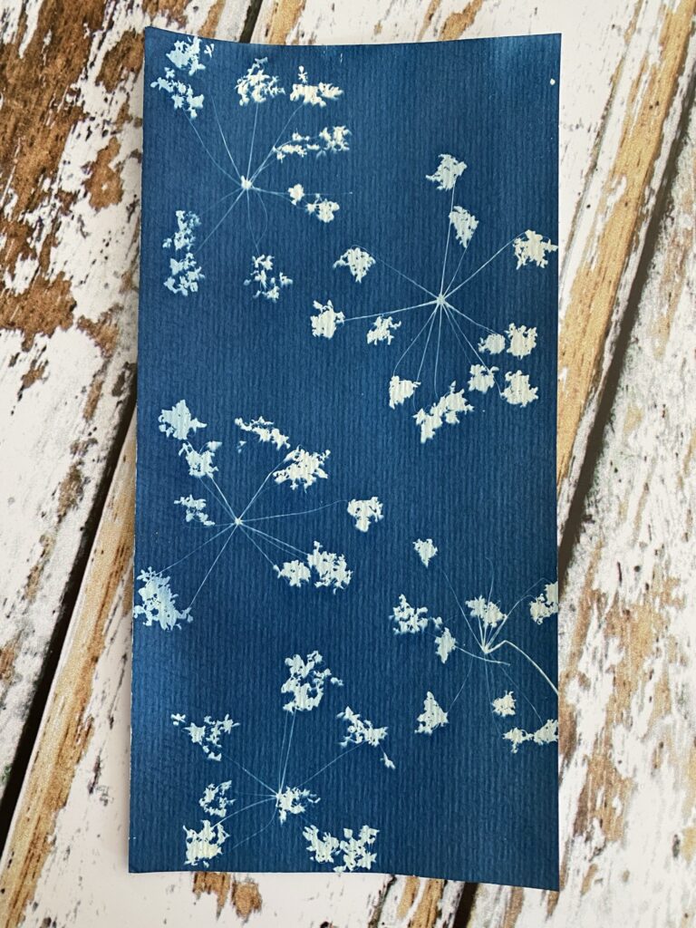 Comment faire des cyanotypes - Elle Décoration