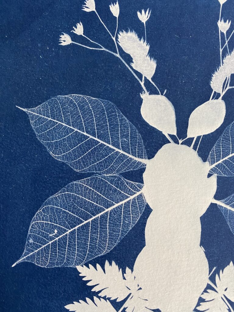Découvrez la technique du cyanotype 8 IMG 3812