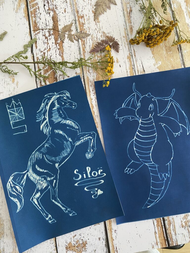 Découvrez la technique du cyanotype 10 IMG 3817