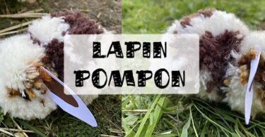 lapin pompon