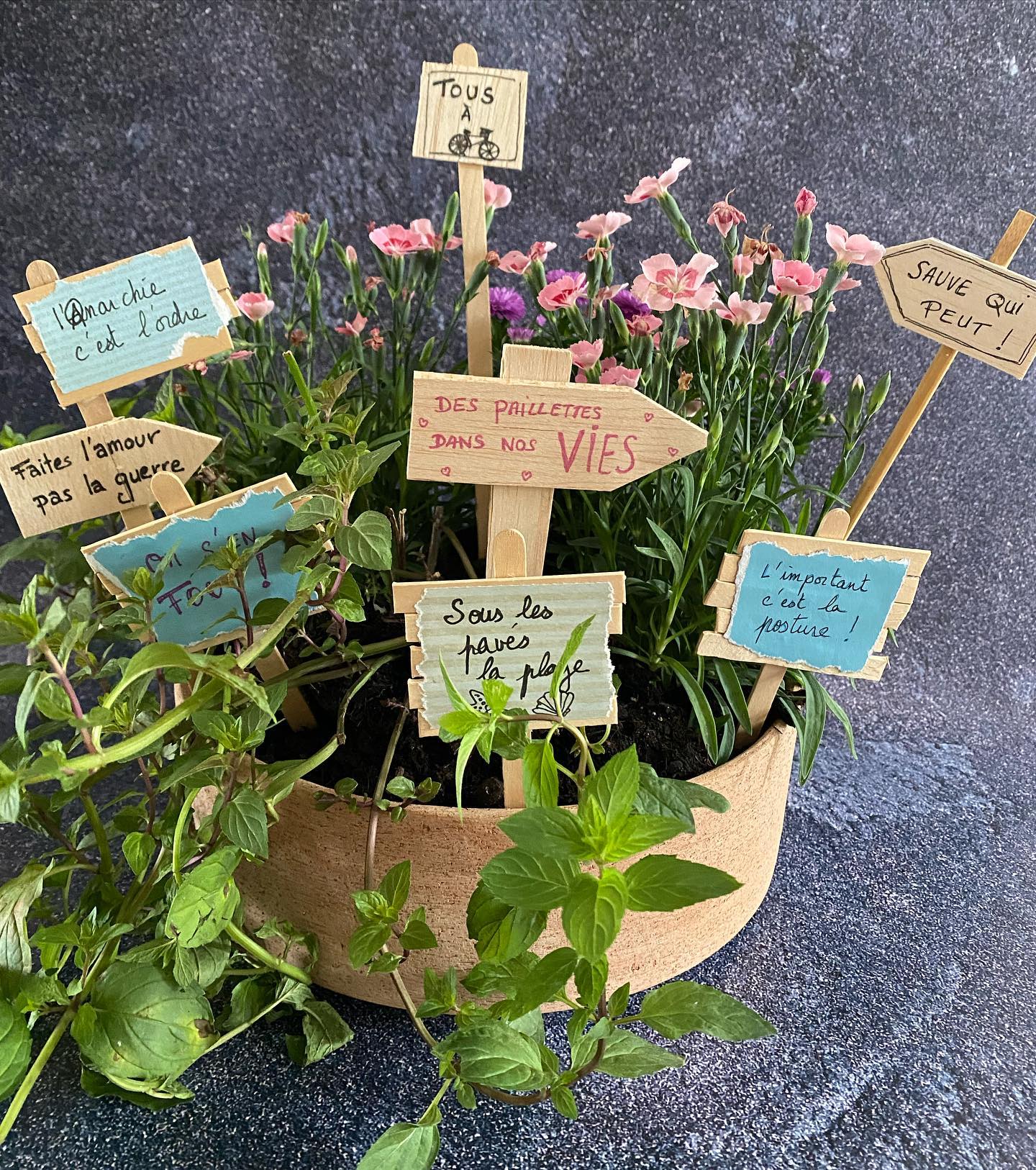 Plantes à messages - Une commande spéciale que j’ai adoré réaliser. J’ai choisi les plantes, le pot, j’ai fabriqué les panneaux en suivant les messages du client. Et j’ai même assuré la livraison :). Il est rigolo mon métier. La partie que j’aime le plus, c’est la liberté de projets que je m’octroie. Si ça rentre dans les cases « ca me plait » et « c’est faisable », il y a de grandes chances que je dise OUI aux demandes farfelues :). Encore merci pour toutes vos commandes et votre confiance renouvelée. Quelle chance j’ai ! Qui a dejà commandé chez moi par ici ?