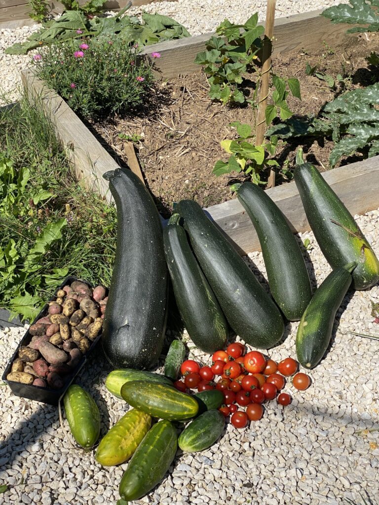 potager en été