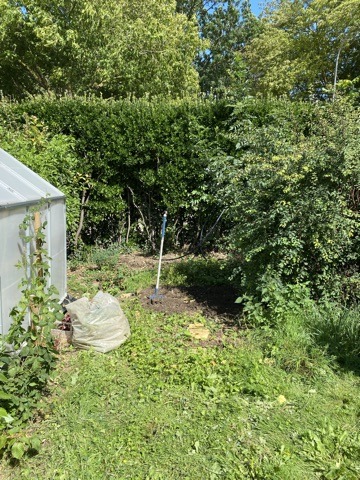 Les récoltes de l'été au potager 6 IMG 4730