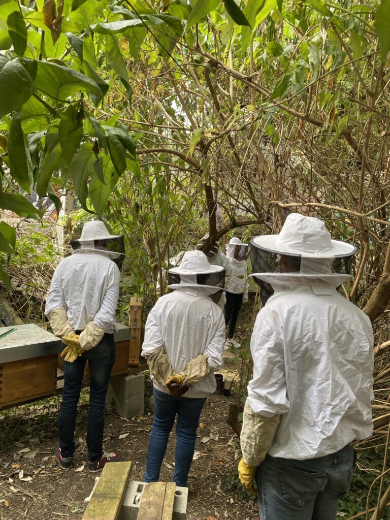 Atelier découvert de l'apiculture urbaine 3 atelier apiculture urbaine