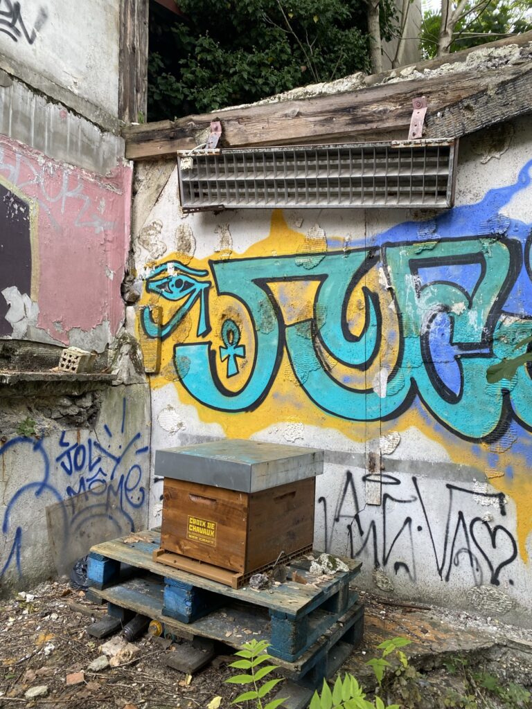 Atelier découvert de l'apiculture urbaine 2 IMG 5592