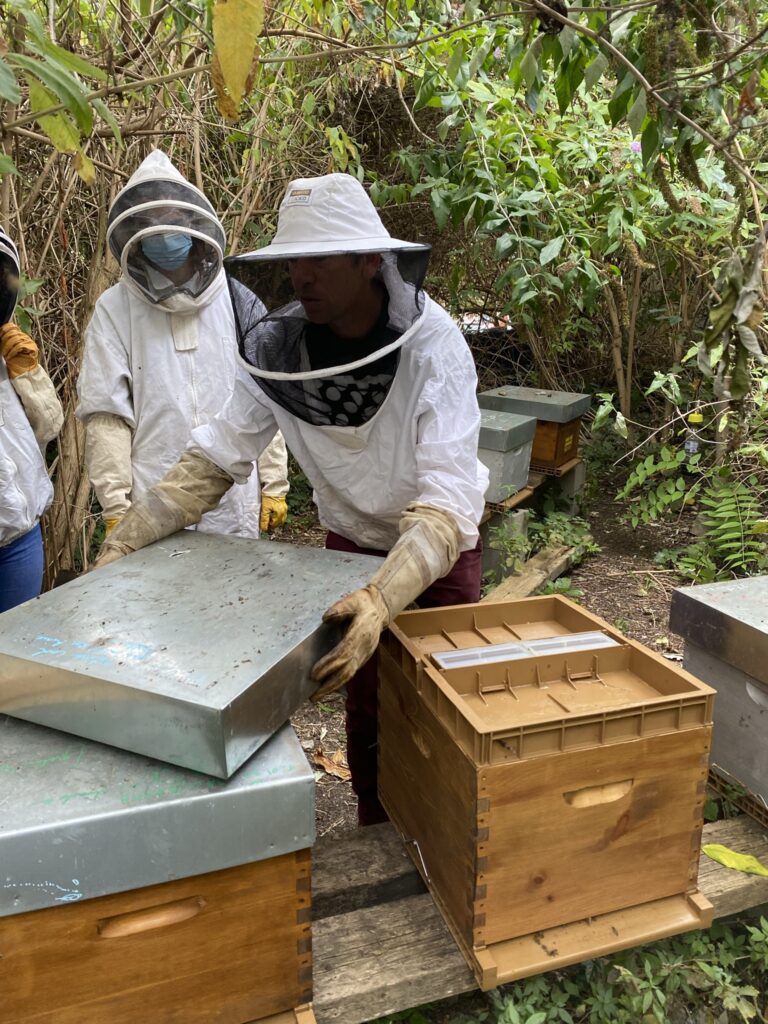 Atelier découvert de l'apiculture urbaine 7 IMG 5595