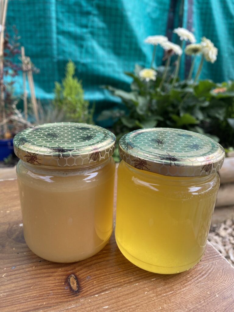 Atelier découvert de l'apiculture urbaine 14 IMG 5641