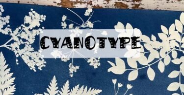 cyanotype astuce pour débuter