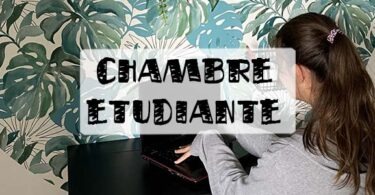 idée déco logement étudiant