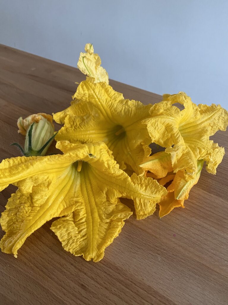 Beignets de fleurs de courge 1 IMG 6068