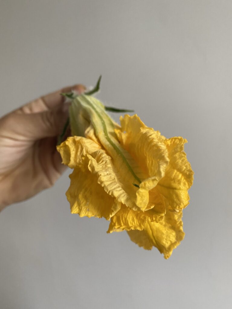Beignets de fleurs de courge 7 IMG 6073