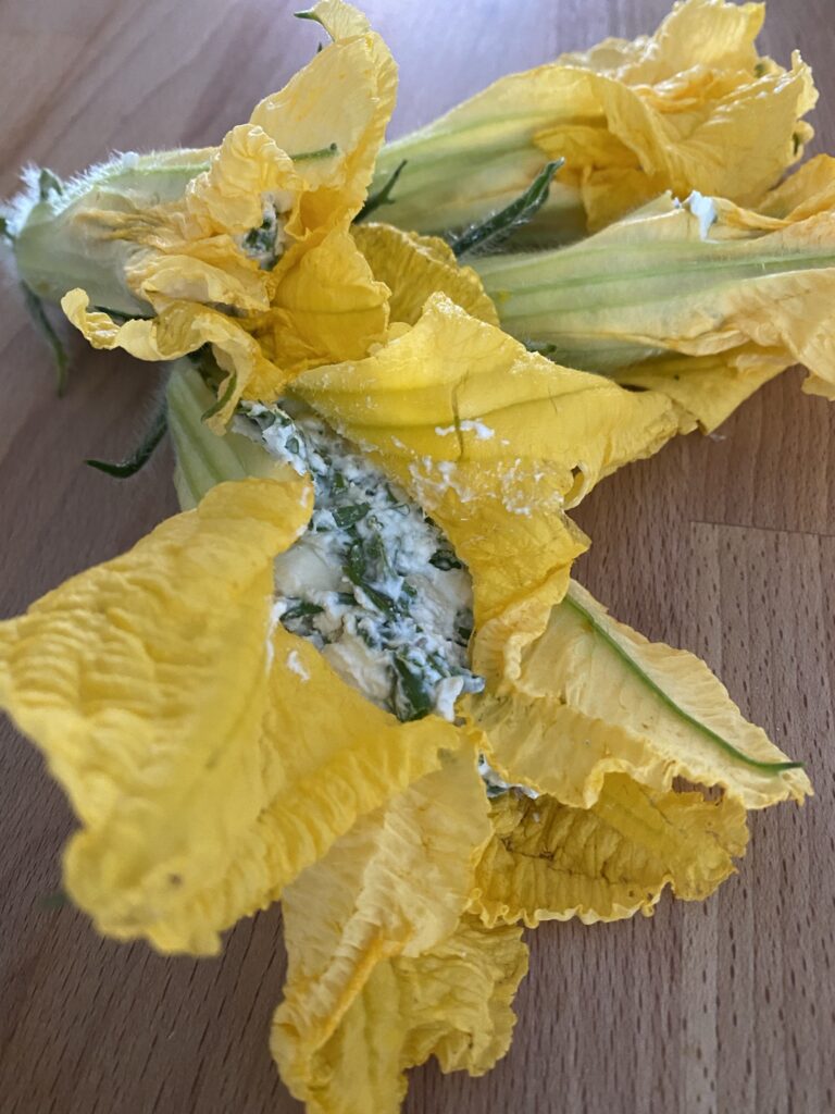 Beignets de fleurs de courge 6 IMG 6075
