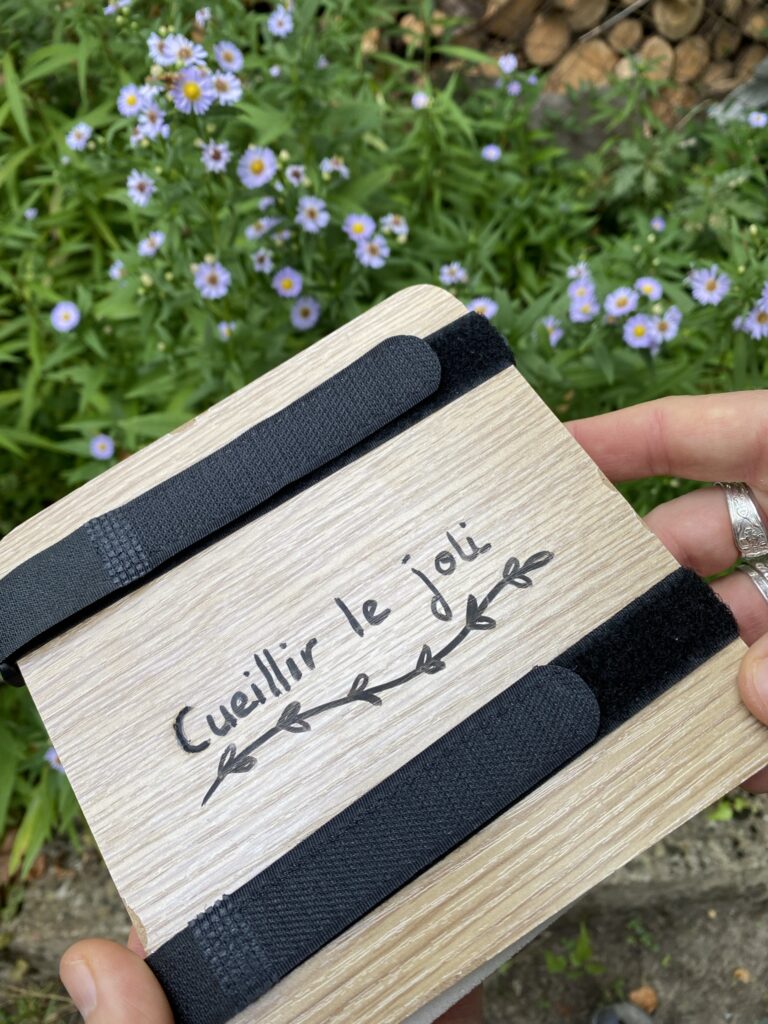 Un tablier pour nettoyer la nature 18 IMG 6427