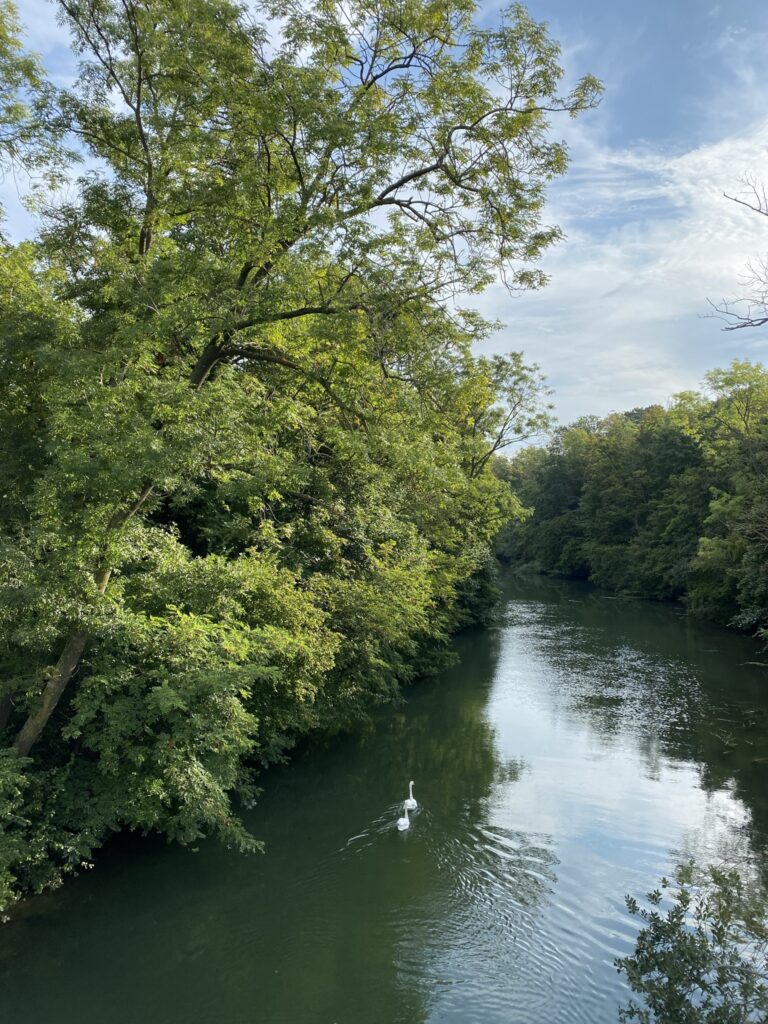 Un tablier pour nettoyer la nature 30 IMG 6430