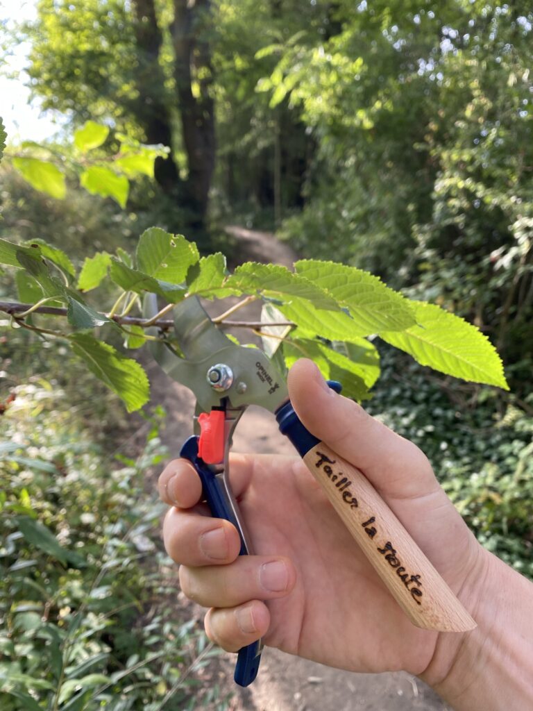 Un tablier pour nettoyer la nature 21 IMG 6431