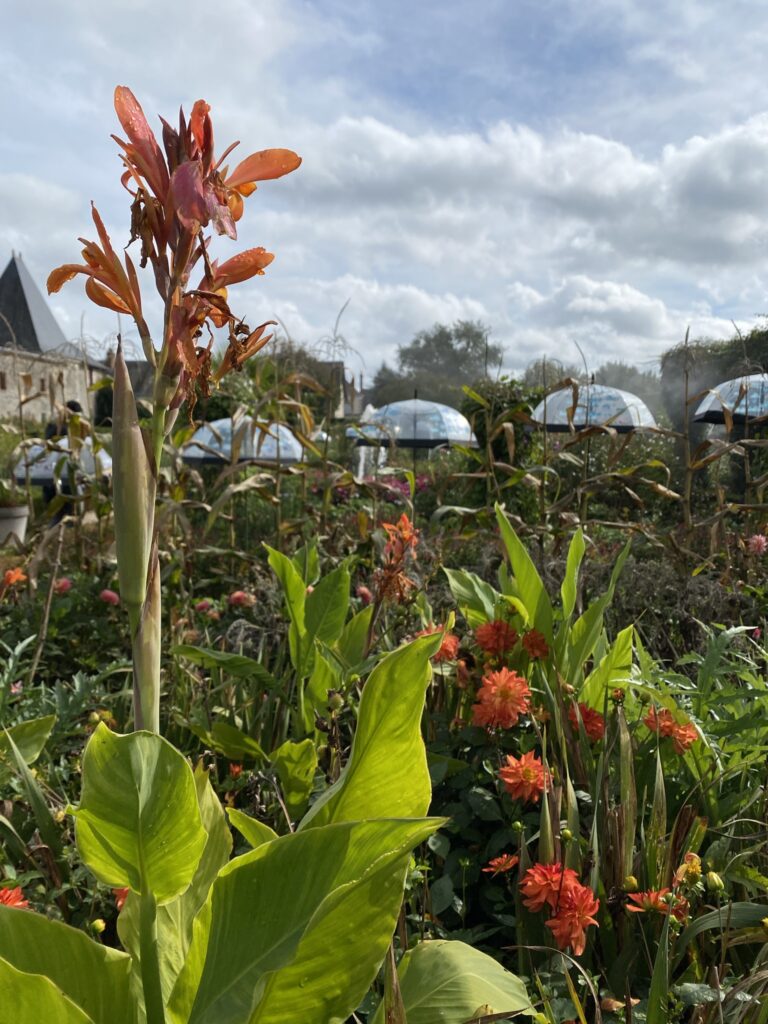 potager cheverny 