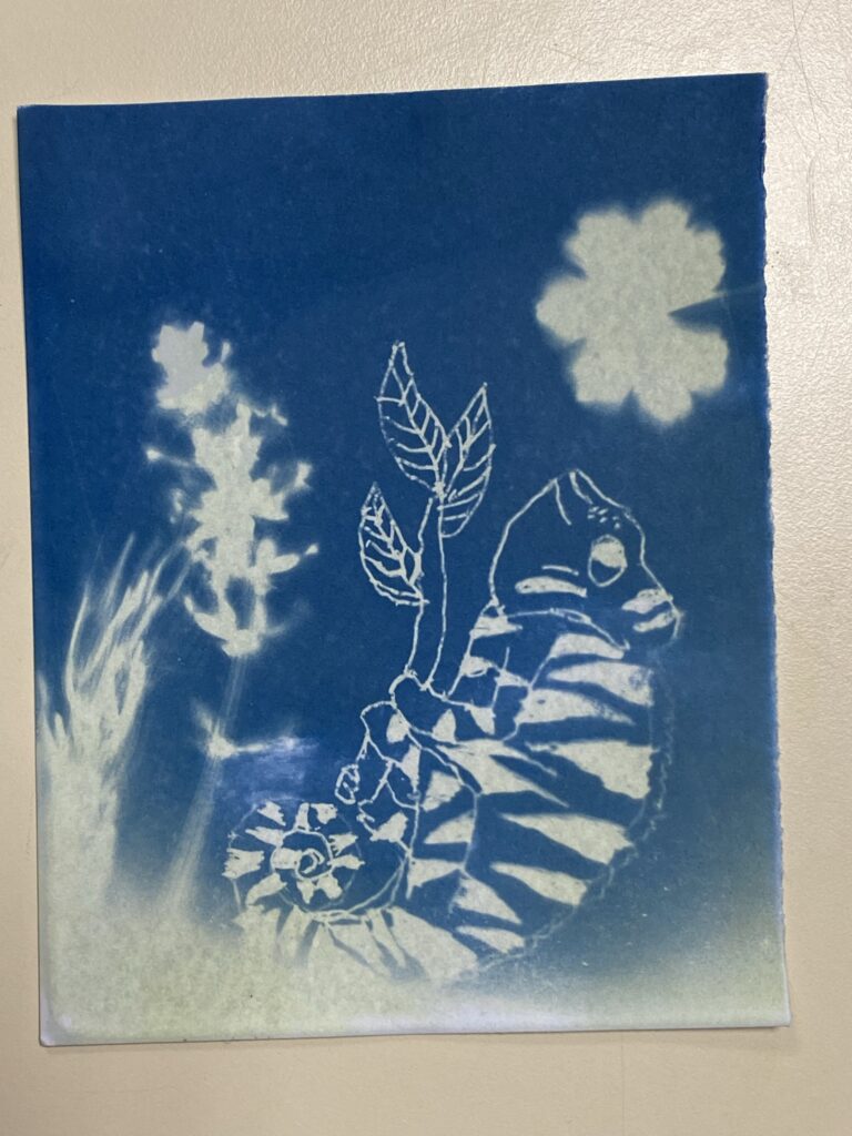Faire découvrir le cyanotype à des enfants 9 technique de cyanotype