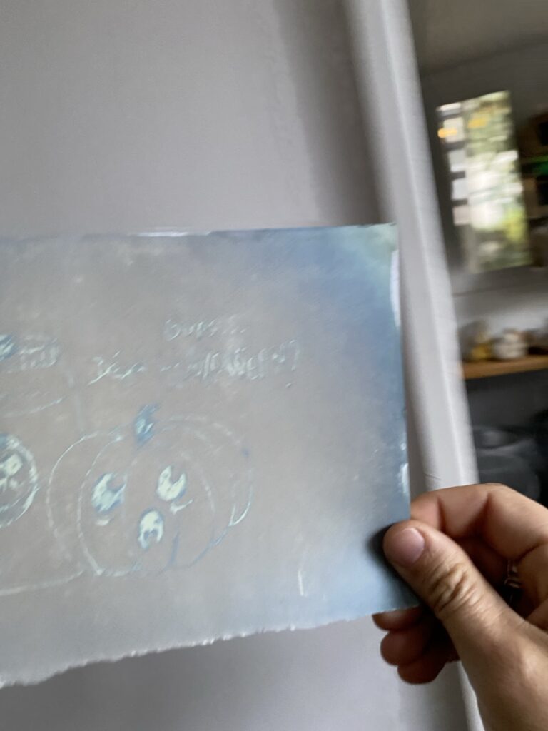 Faire découvrir le cyanotype à des enfants 3 IMG 7812