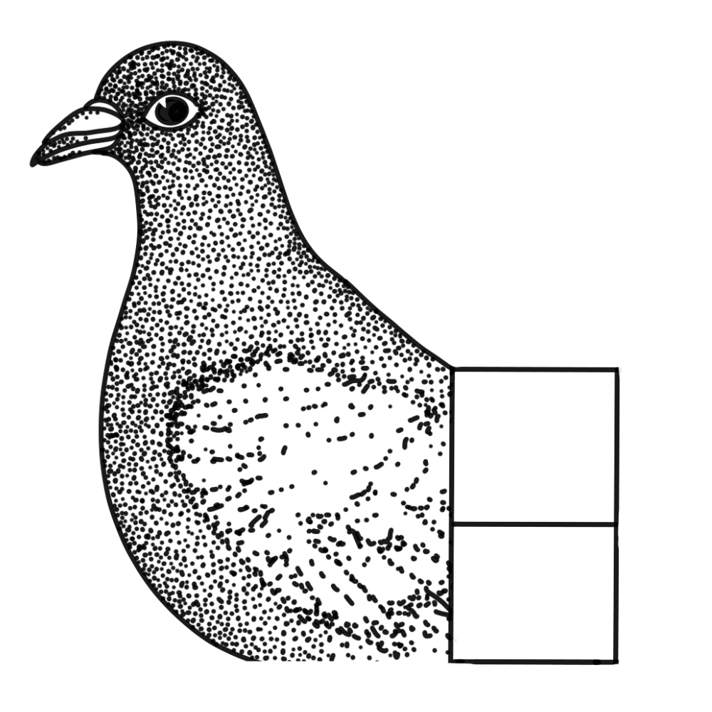 pigeon