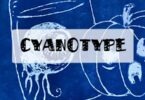 technique du cyanotype