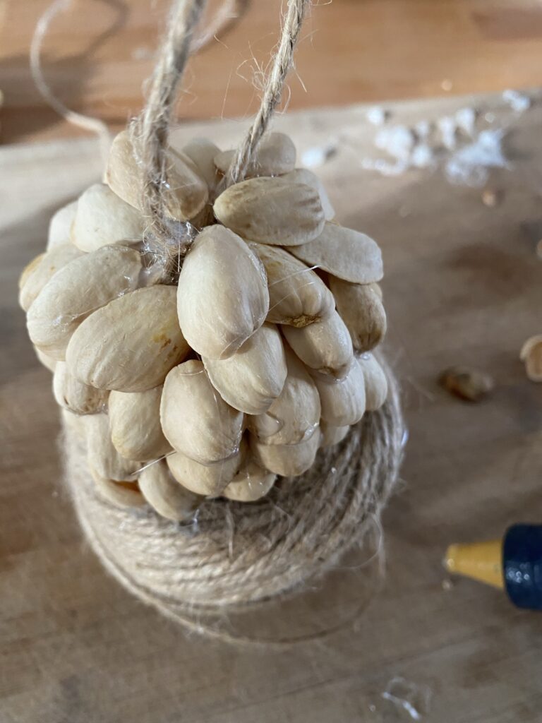 Comment transformer les coques des pistaches en fleur ! 15 IMG 7927