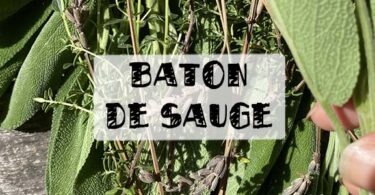 baton de sauge maison