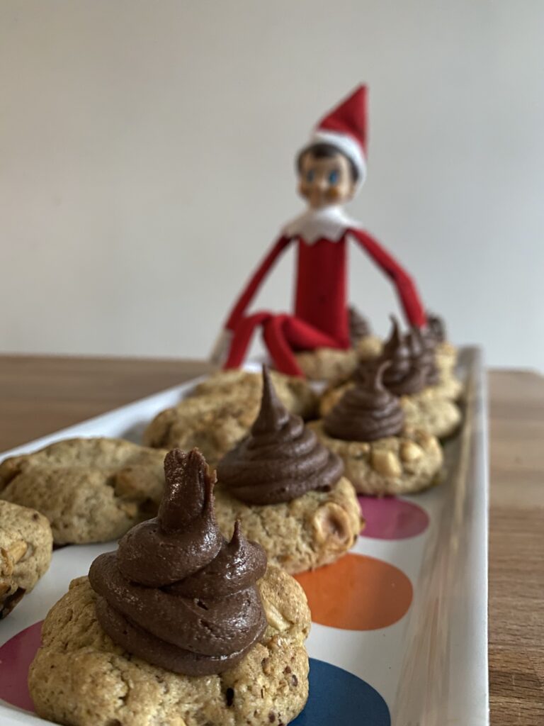 Le lutin de Noël est de retour 4 elf on the shelf