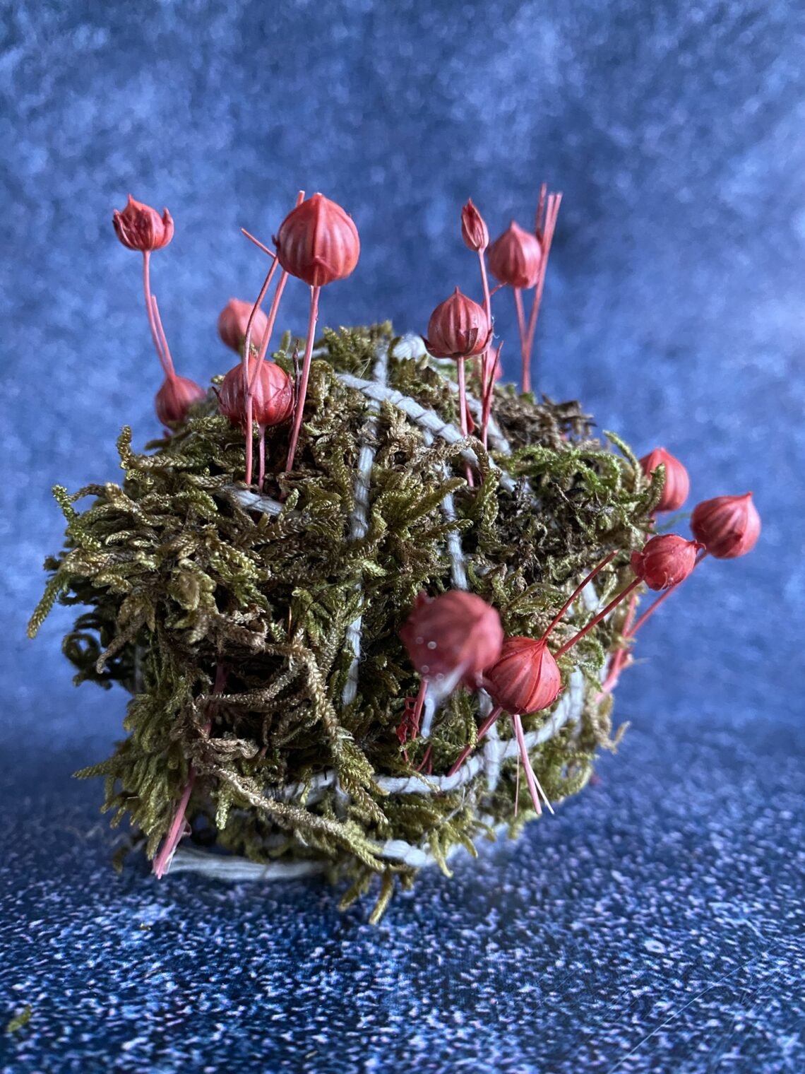 Couronne De Mousse Fleuriste - Forme Cercle En Mousse Verte - Pour Arrangements Floraux Frais Ou Artificiels - 6