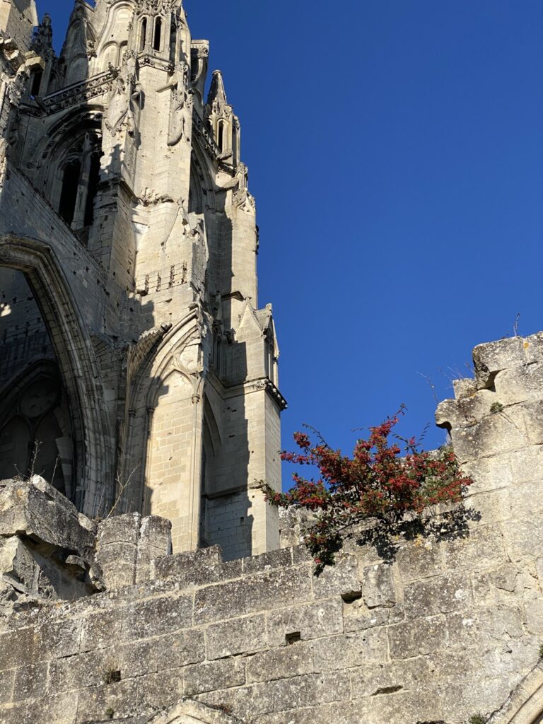 Je vous emmène visiter la belle ville de Soissons ! 23 IMG 8764