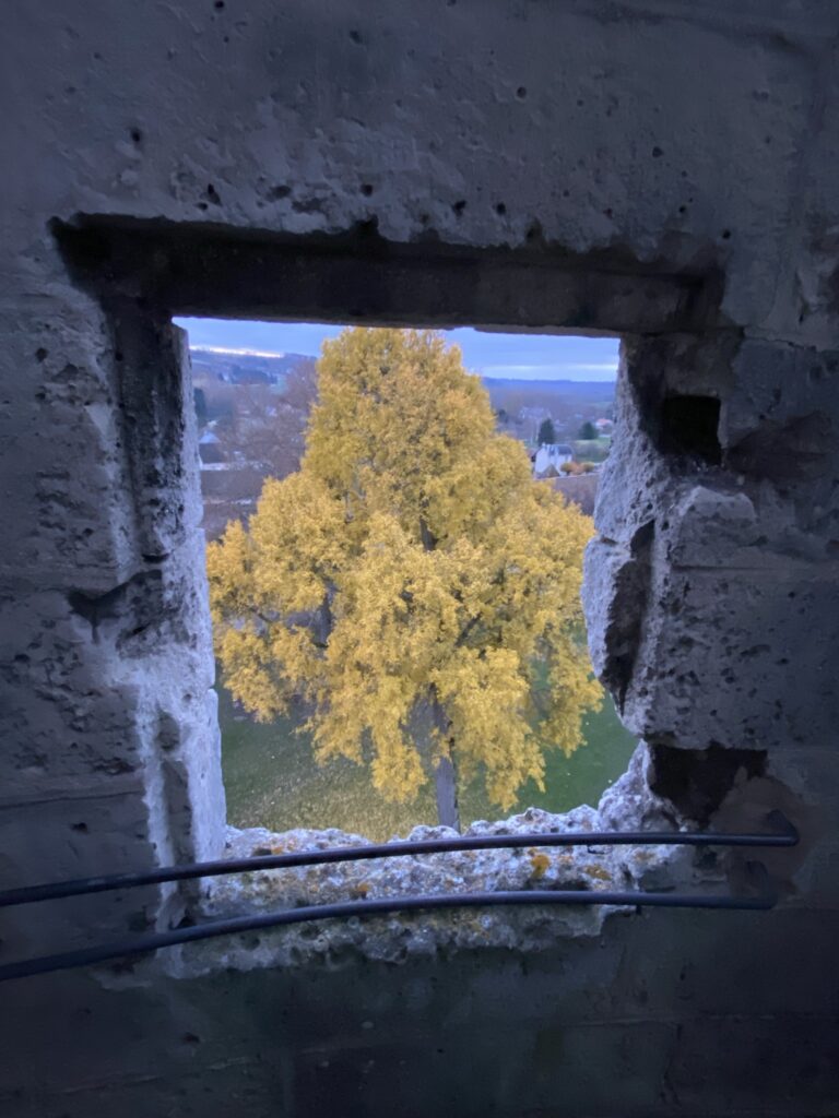 Je vous emmène visiter la belle ville de Soissons ! 51 IMG 8845