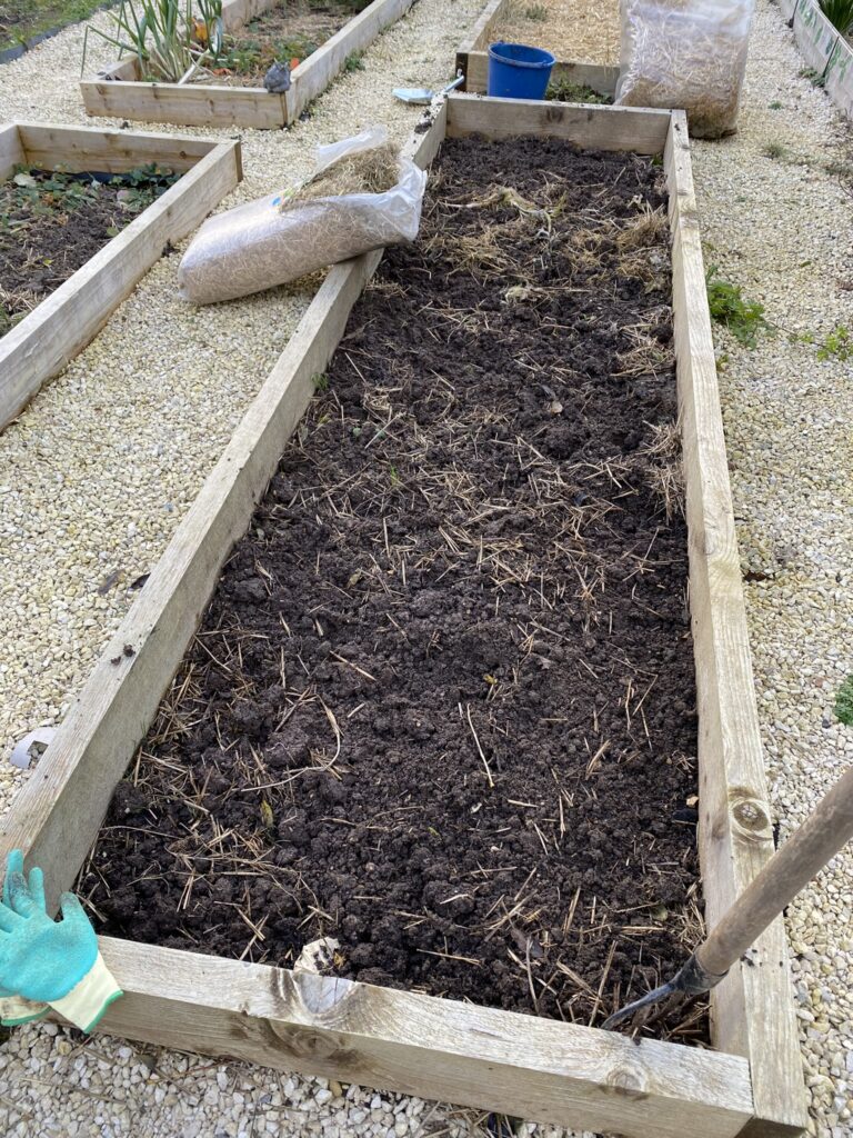 Comment j'ai préparé mon potager pour l'hiver 1 IMG 9523