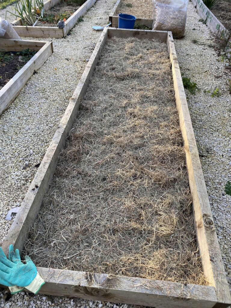 Comment j'ai préparé mon potager pour l'hiver 2 IMG 9524