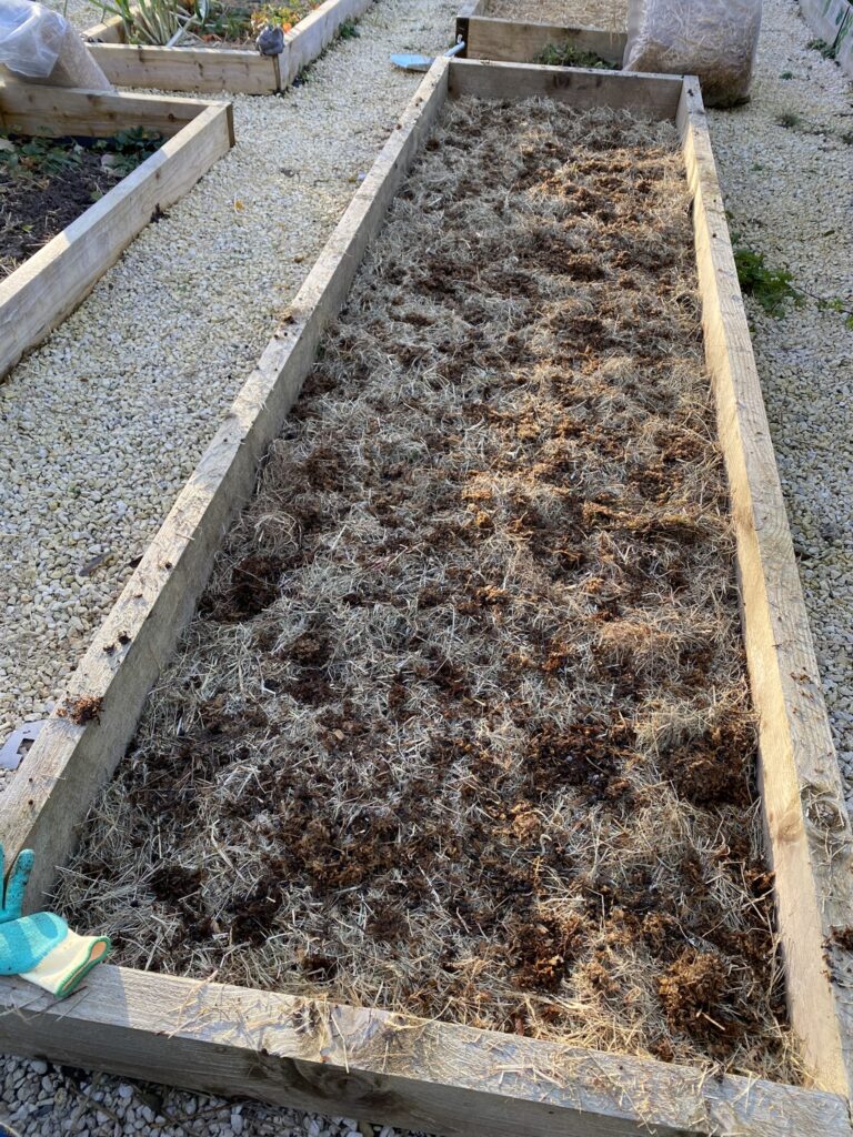 Comment j'ai préparé mon potager pour l'hiver 4 IMG 9526
