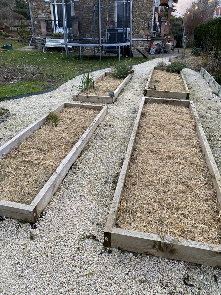 Comment j'ai préparé mon potager pour l'hiver 6 IMG 9534