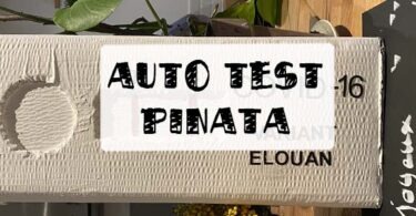 auto test pinata