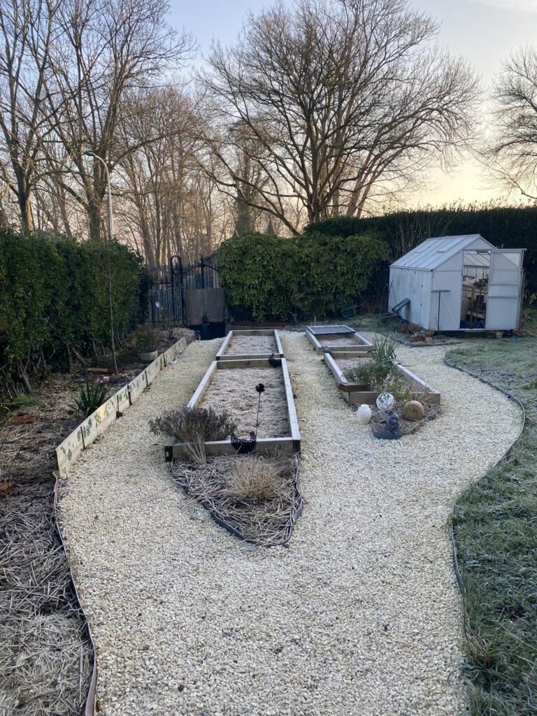 Comment j'ai préparé mon potager pour l'hiver 7 hiver au potager preparatif