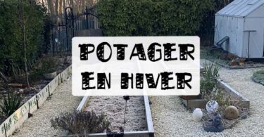 hiver au potager