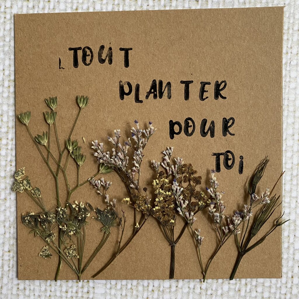 Des cartes pour une saint valentin naturelle et coquine 4 carte fleurs séchées saint valentin amour