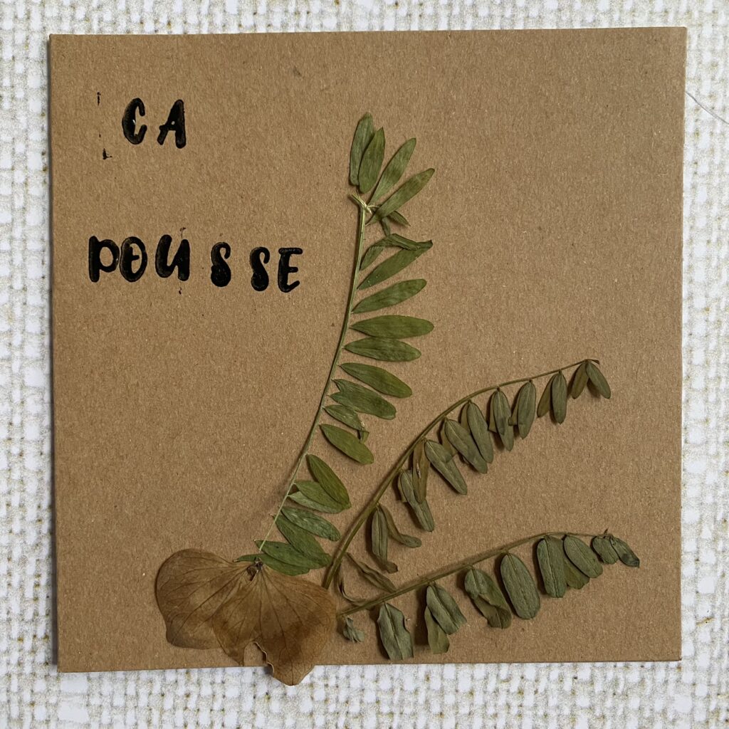 Des cartes pour une saint valentin naturelle et coquine 6 IMG 1253