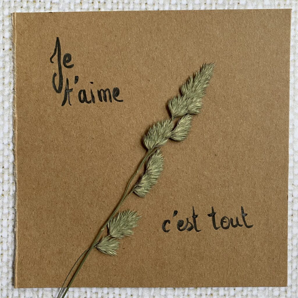 Des cartes pour une saint valentin naturelle et coquine 9 je t'aime épicétou